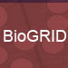 BioGRID - The Biological General Repository for Interaction Datasets